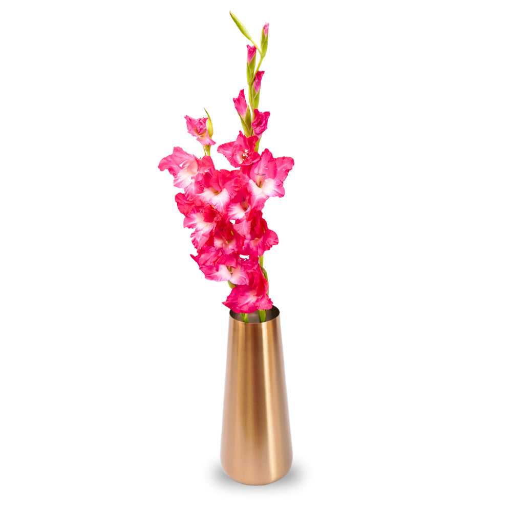 Smooth brass finish light weight flower vase with narrow mouth for long stem flowers and broad base...