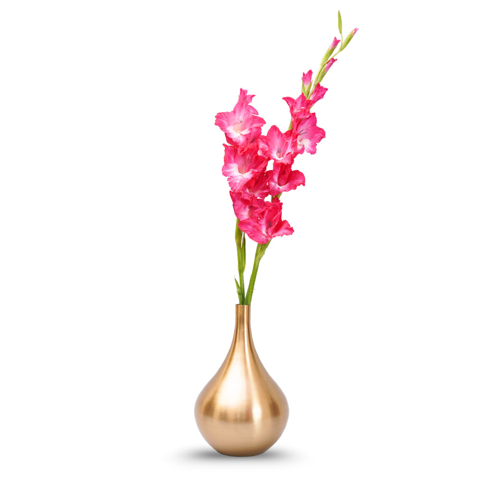 Smooth brass finish light weight flower vase with narrow mouth